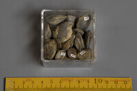 F 01511
<br/>
<br/>
<em></em>